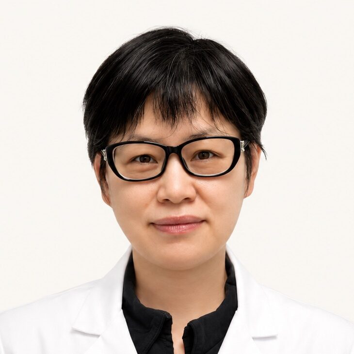 Liu Hui